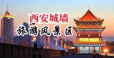 卖逼打炮AV中国陕西-西安城墙旅游风景区