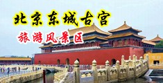 粉鲍操逼视频中国北京-东城古宫旅游风景区